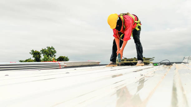 Best Roof Coating and Sealing  in Rocky Point, NC