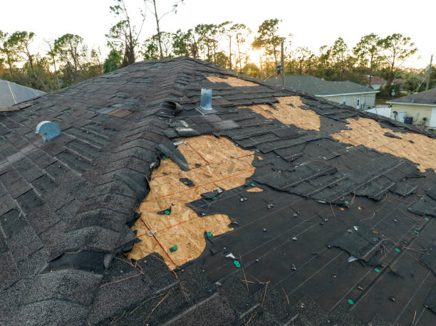 Best Sheet Metal Roofing  in Rocky Point, NC