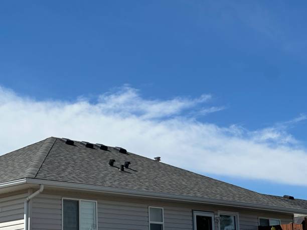 Trusted Rocky Point, NC Roofing Service Experts